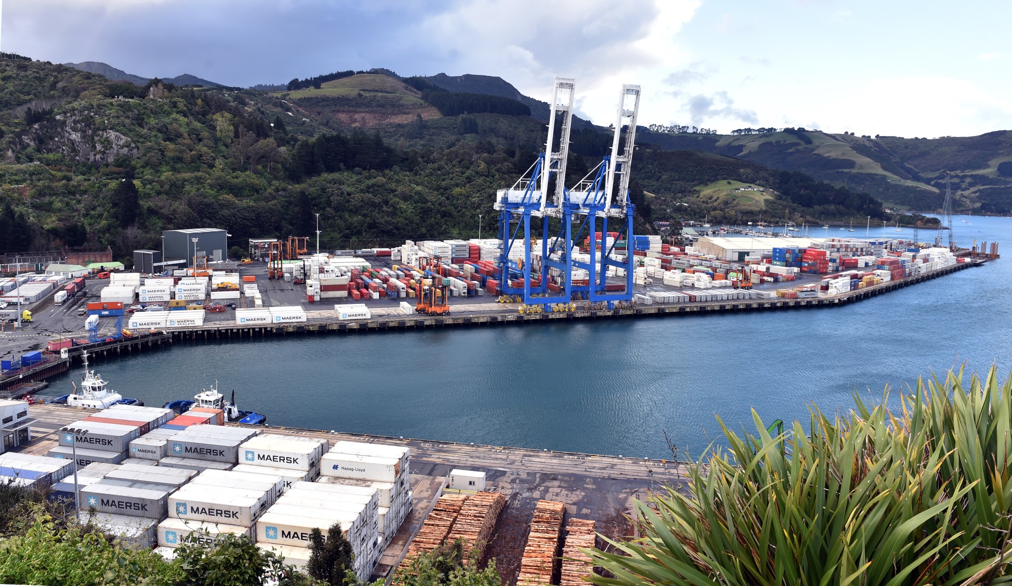 Port Chalmers container terminal, where a man was injured on Monday evening. PHOTO: PETER MCINTOSH