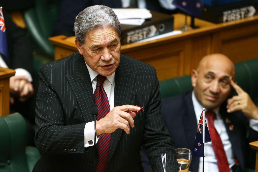 Winston Peters speaks during the Budget presentation at Parliament in Wellington today. Photo:...