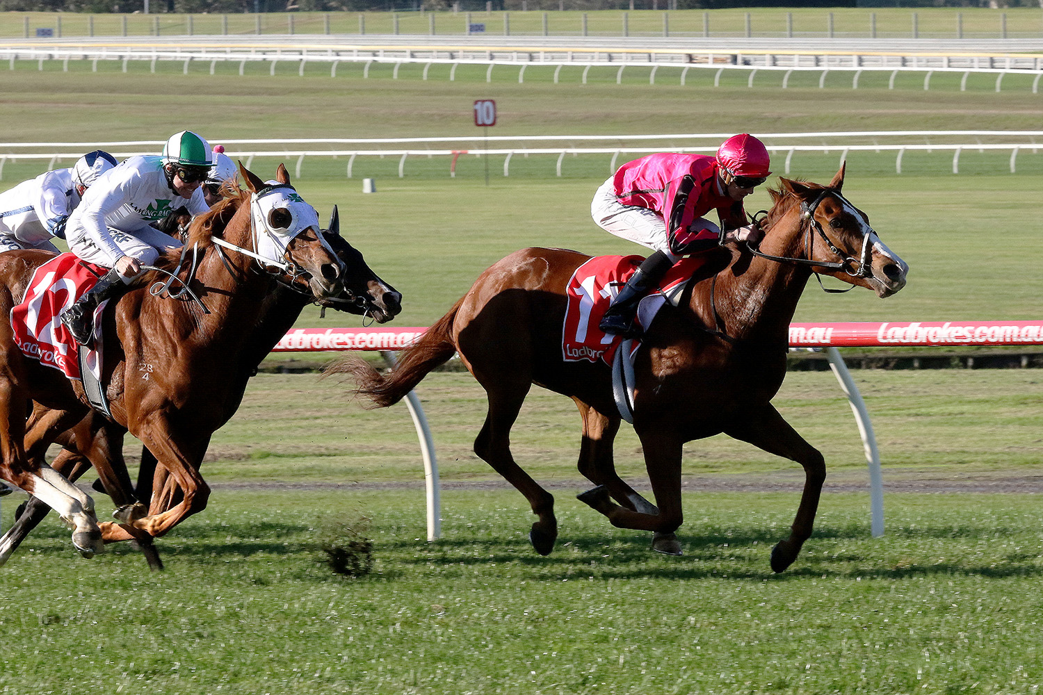 Mazzuro wins at Sandown. Photo: Darryl Sherer