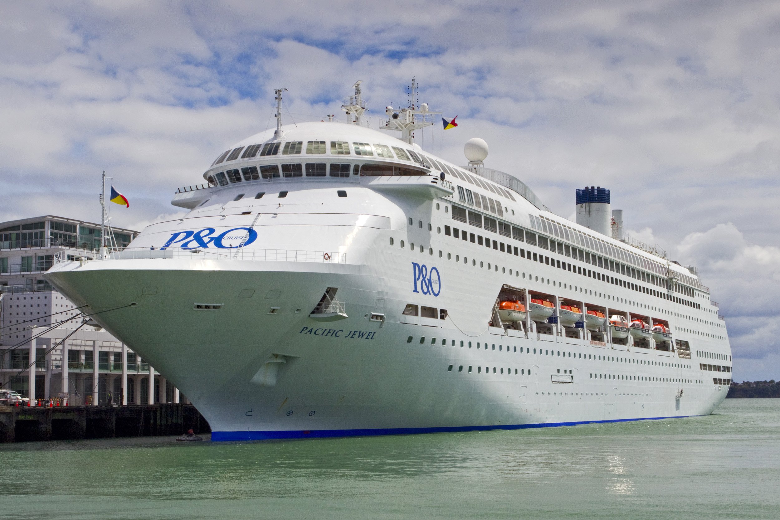 Cruise Ship Slaughter Seabirds Die In Boxes Otago Daily Times Online News