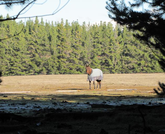 The Queenstown Lakes District Council's decision paves the way for a 400-section special housing...