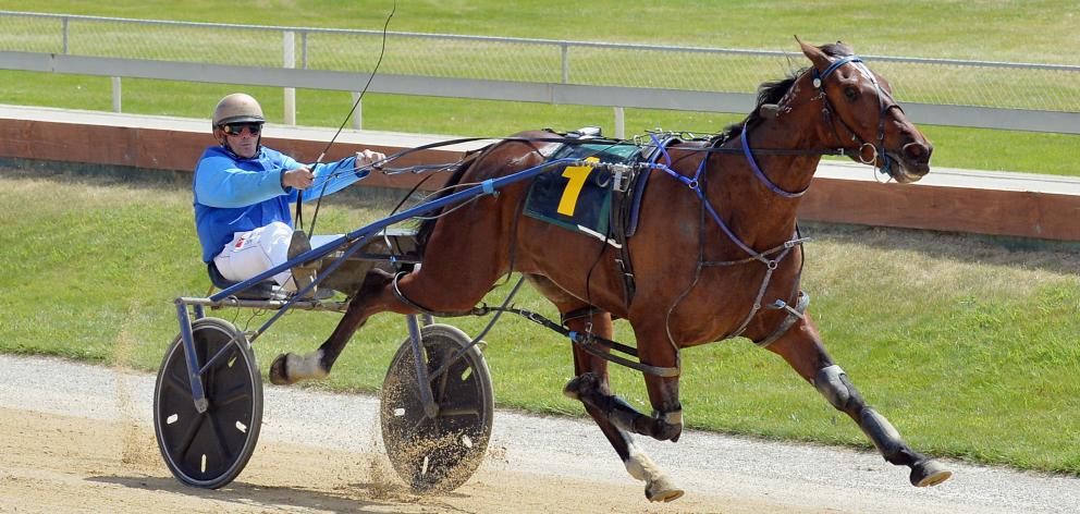A G's White Socks and Ricky May. Photo: Getty. 