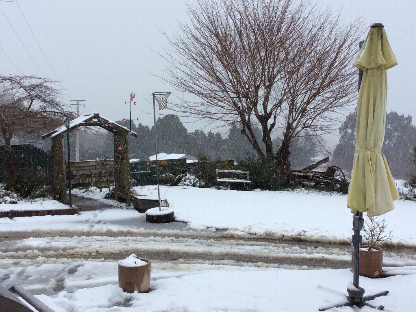 Snow coated a property south of Clinton today.Photo: Laura Phillips Williams 