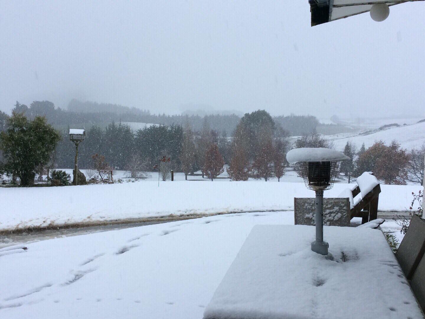 Snow coated a property south of Clinton today.Photo: Laura Phillips Williams