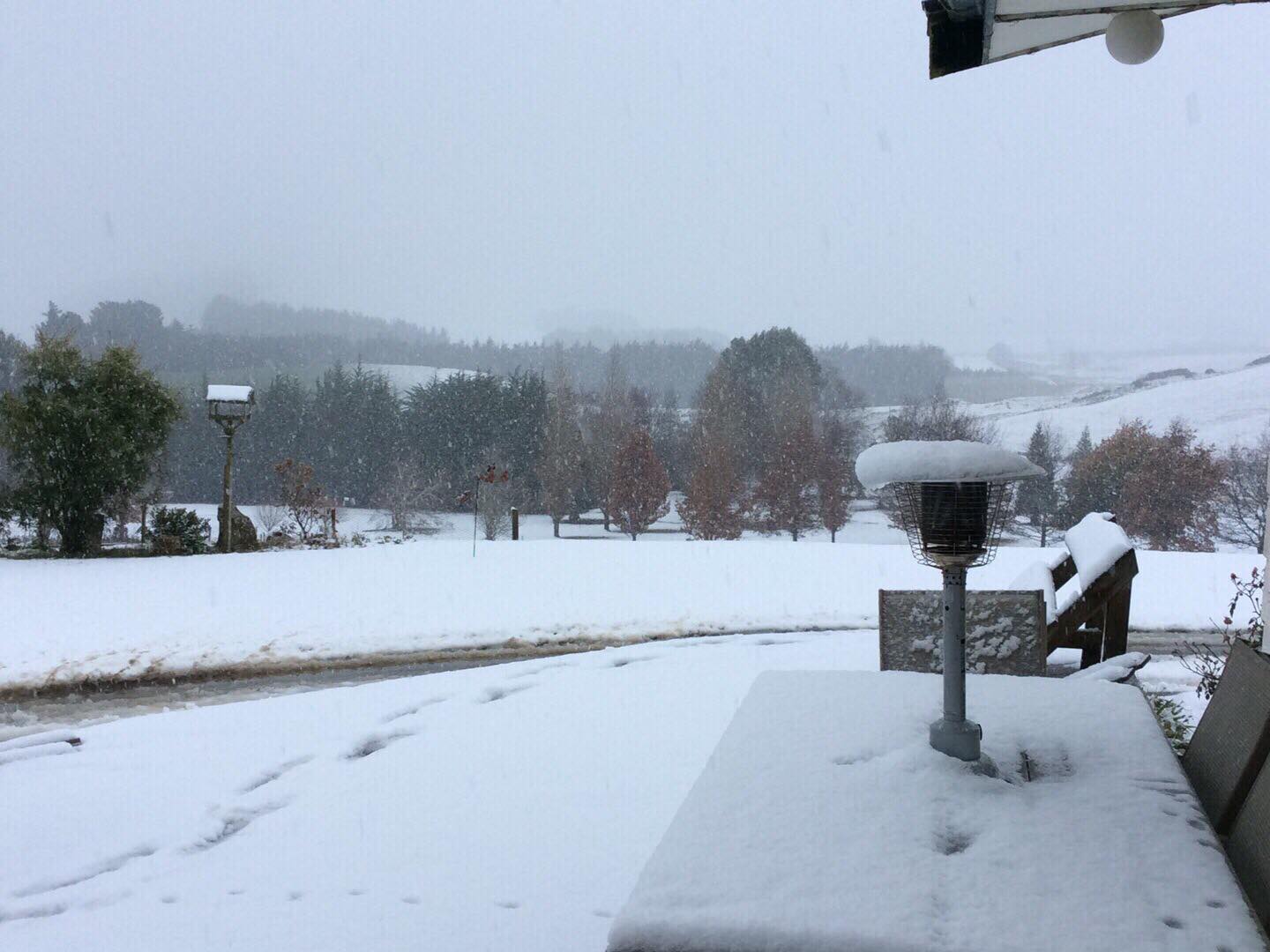 Snow coated a property south of Clinton today.Photo: Laura Phillips Williams 