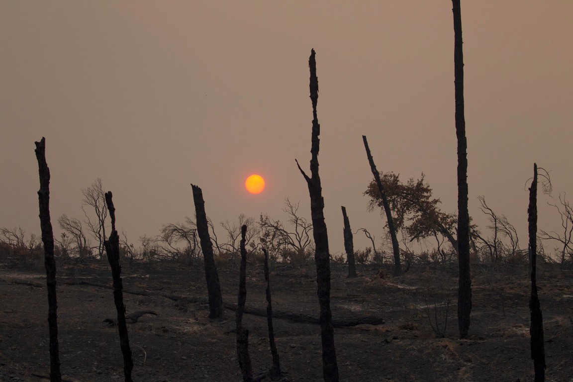 The sun sets over hills burned by the Carr Fire west of Redding, California. Photo: Reuters 