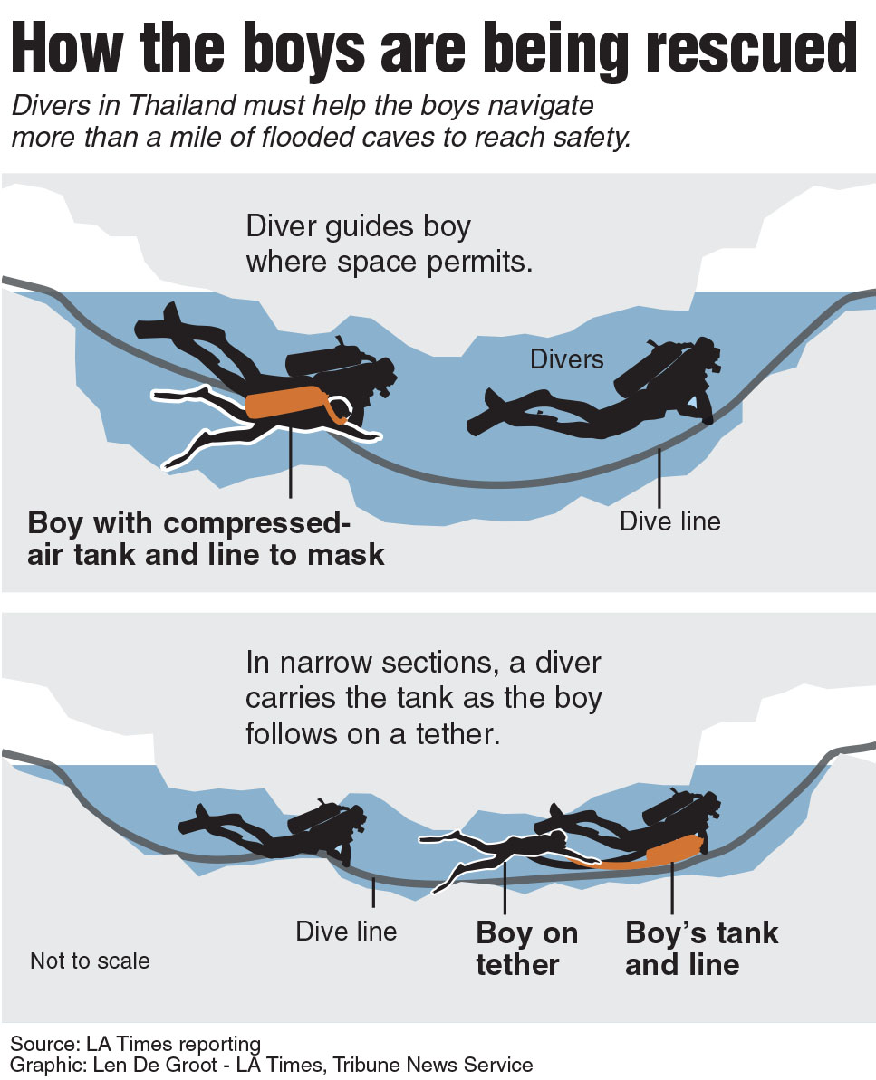 Graphic: Tribune News Service