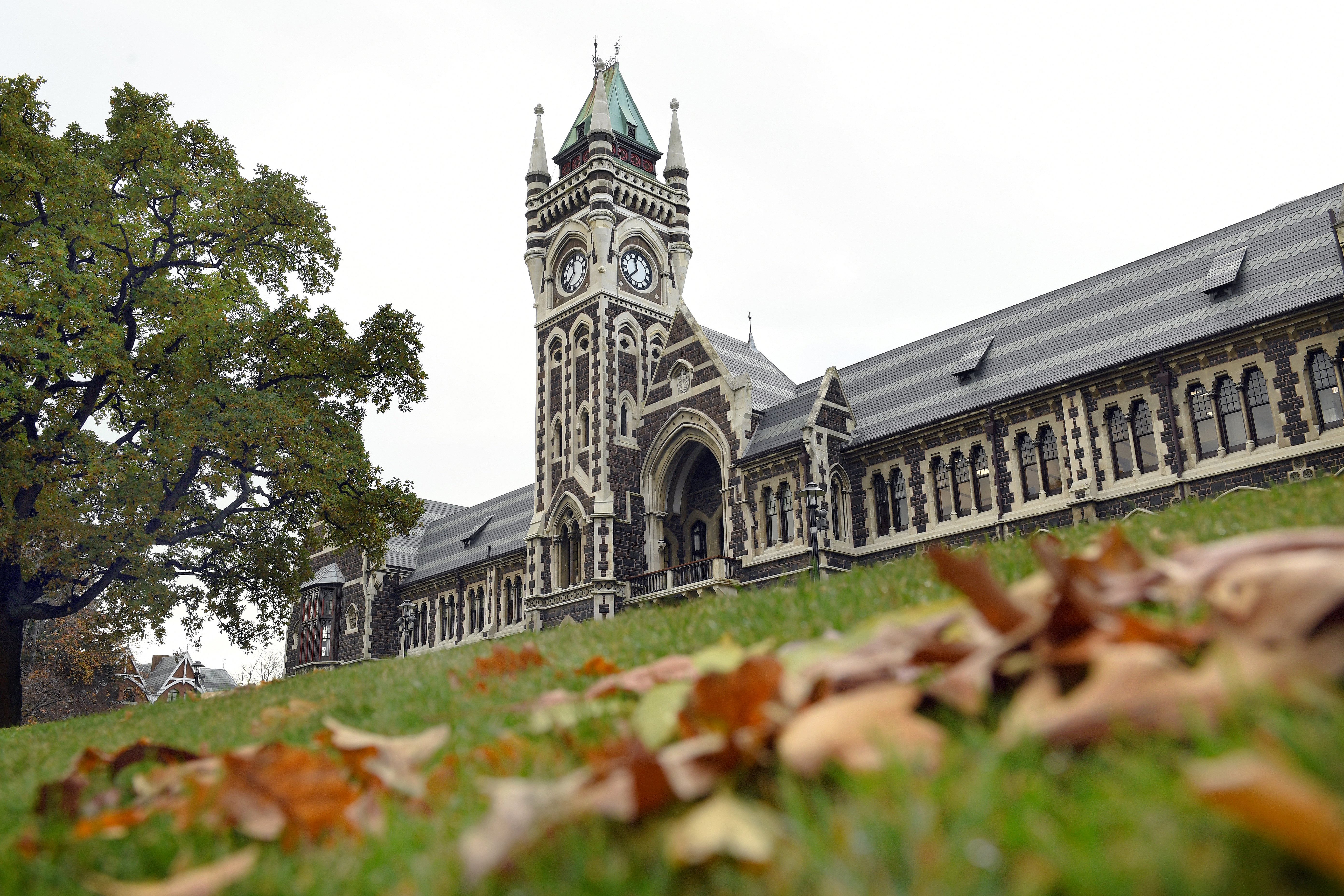The University of Otago’s signature clock tower. Photos: ODT