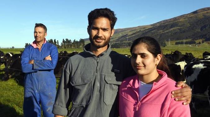 Herd manager Harrie Chander can stay in New Zealand but Immigration New Zealand wants to send his...