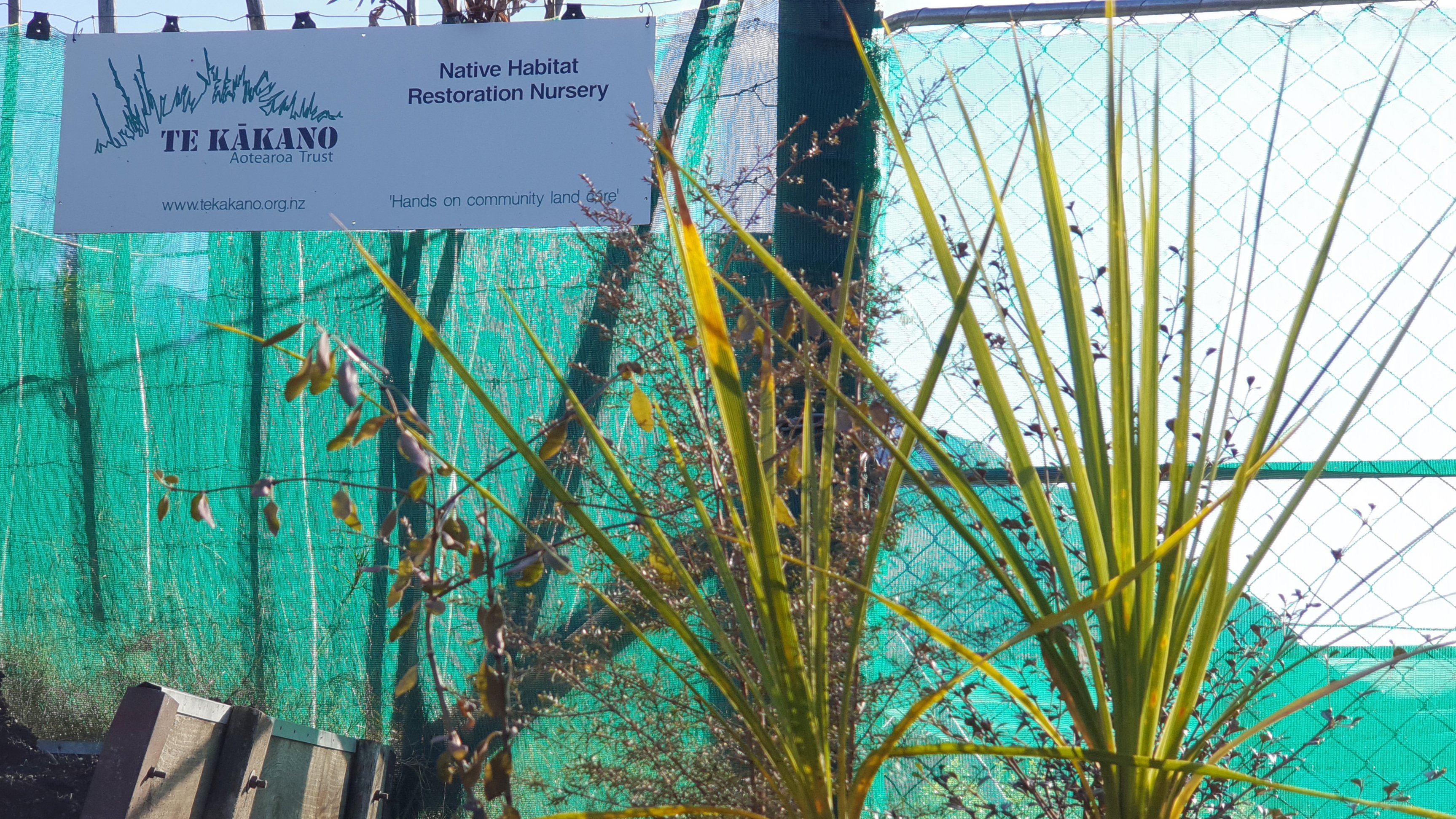 Te Kakano Aotearoa Trust plans to expand its plant nursery soon as it has outgrown its current...