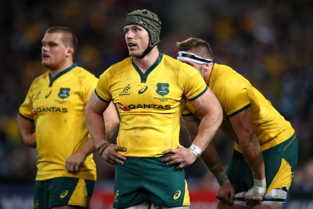 Former All Black Jeff Wilson has questioned the Wallabies' fitness after last weekend's loss in...