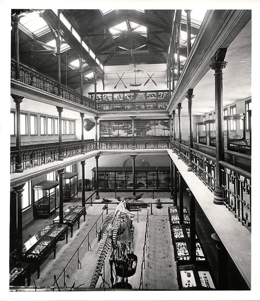 The interior of Otago Museum in 1878. Photo: Supplied