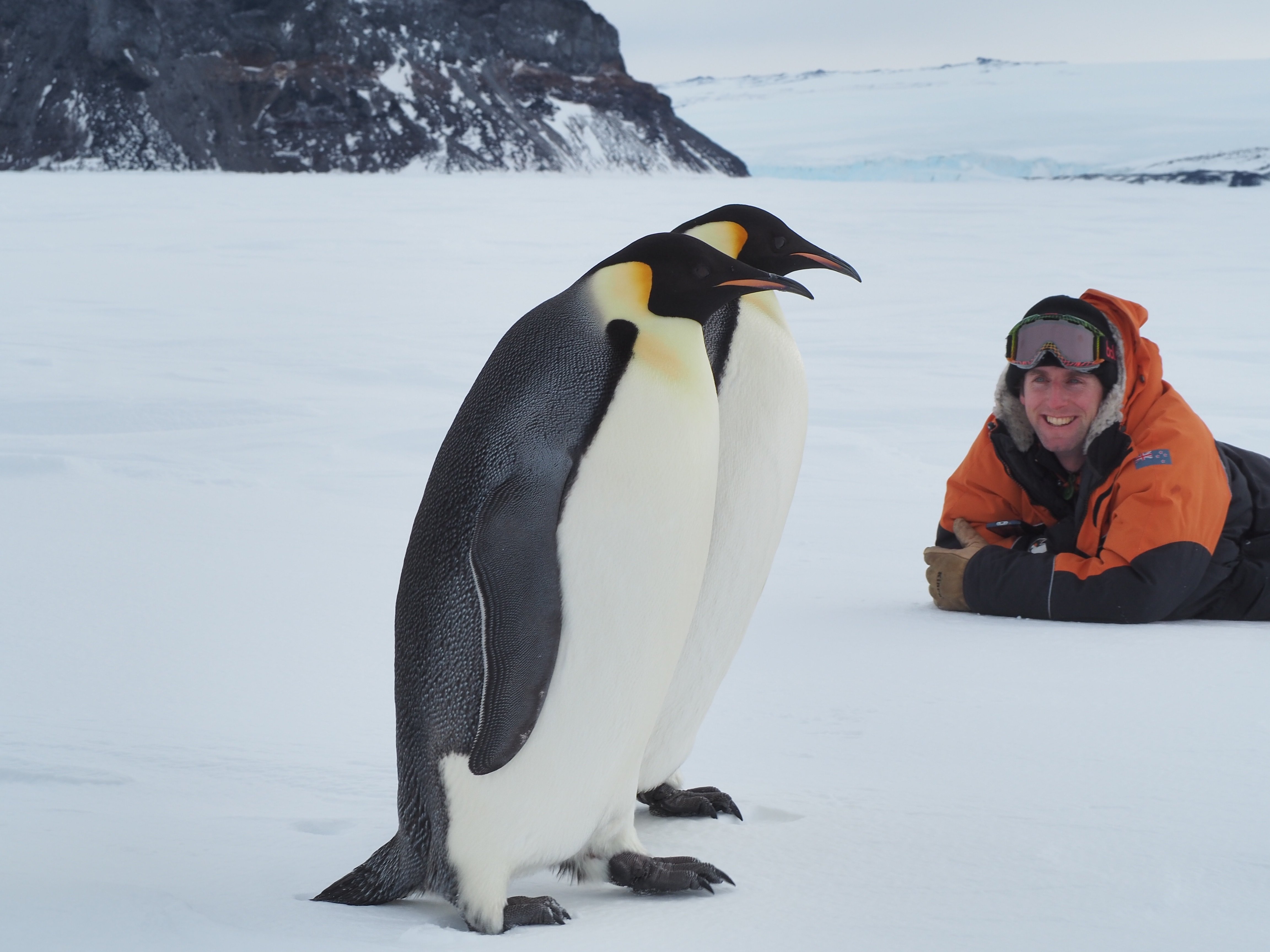 Chris Long with  emperor penguins in the Antarctic. Photo: Supplied