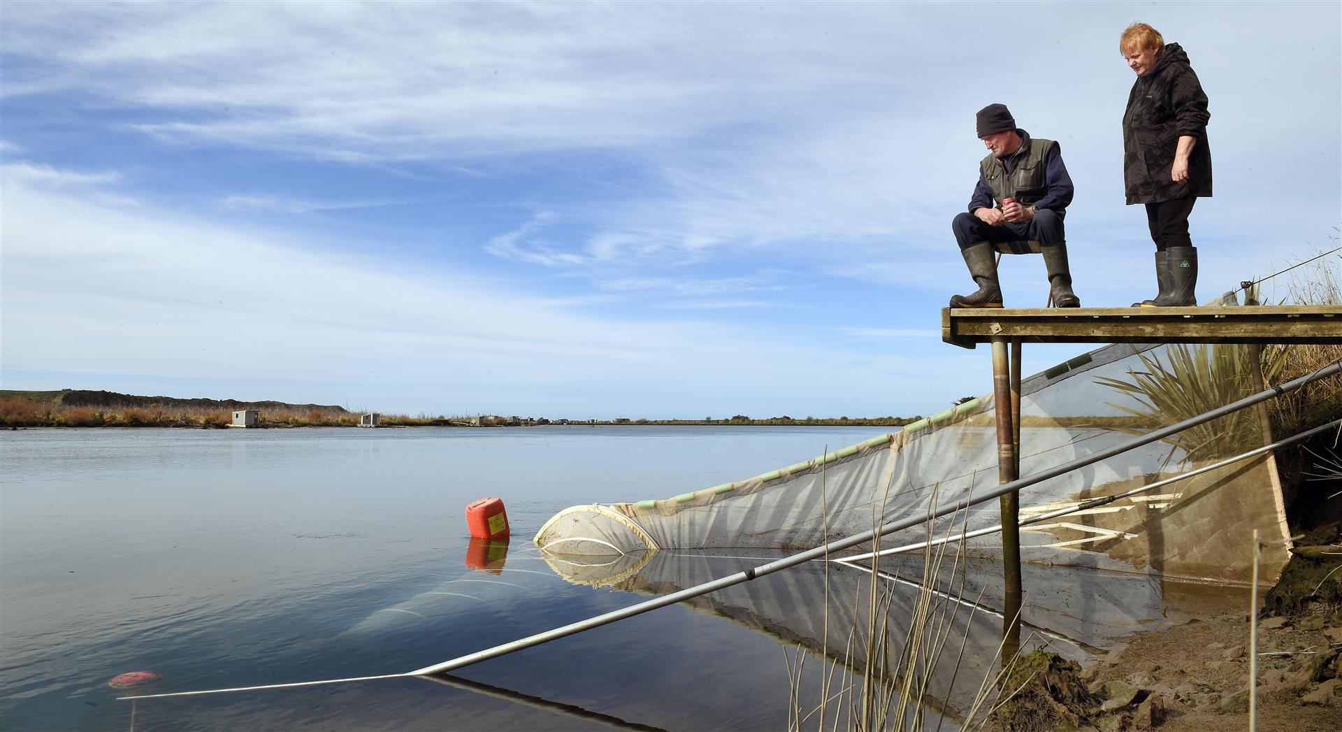 Whitebait Spot & Shoals In The Net 