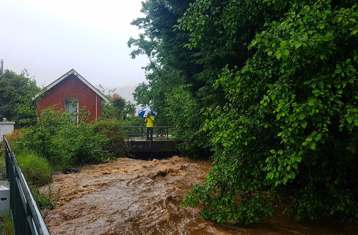 Dunedin received almost 60mm of rain in the 24 hours to 7pm yesterday, lifting levels in the city...