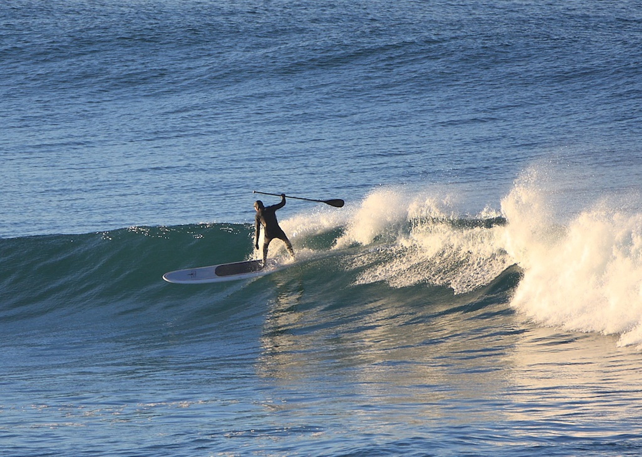 Doug Booth catches a wave while paddleboarding at St Clair beach. Photo: Mark Stevenson 