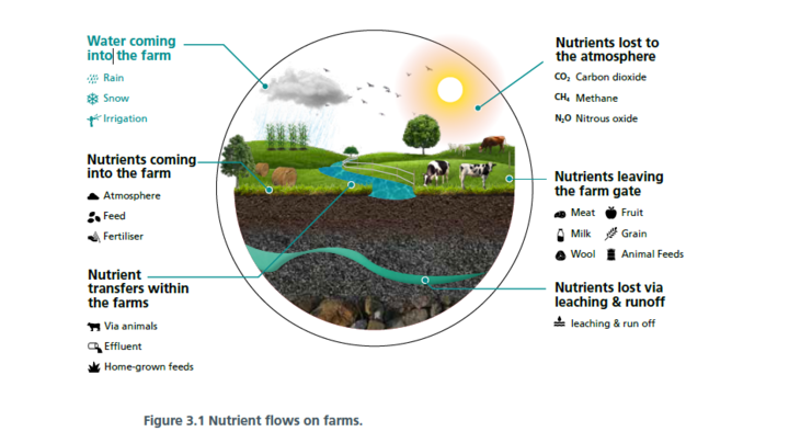 Put simply, Overseer is a model that describes nutrient flows on farms. Image: Supplied