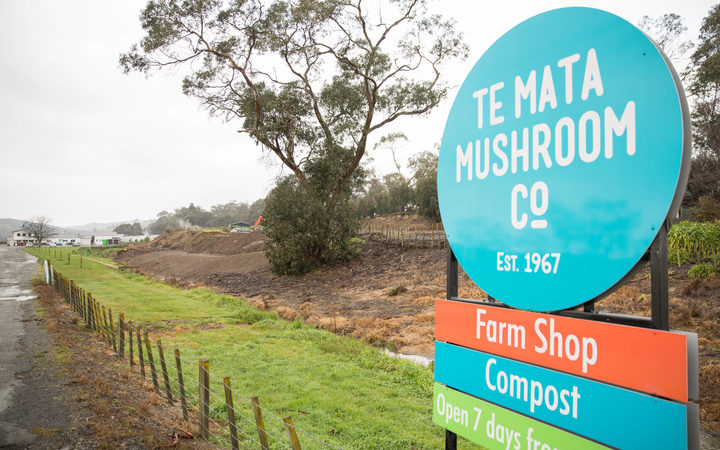 As part of Te Mata Mushrooms' resource consent, odours are not allowed to leave the boundaries of its Havelock North property. Photo: RNZ / Claire Eastham-Farrelly As part of Te Mata Mushrooms' resource consent, odours are not allowed to leave the boundaries of its Havelock North property. Photo: RNZ / Claire Eastham-Farrelly
