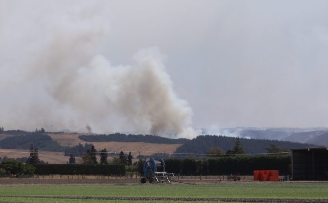 Smoke rises from the bushfire area at Pigeon Valley. Photo: RNZ