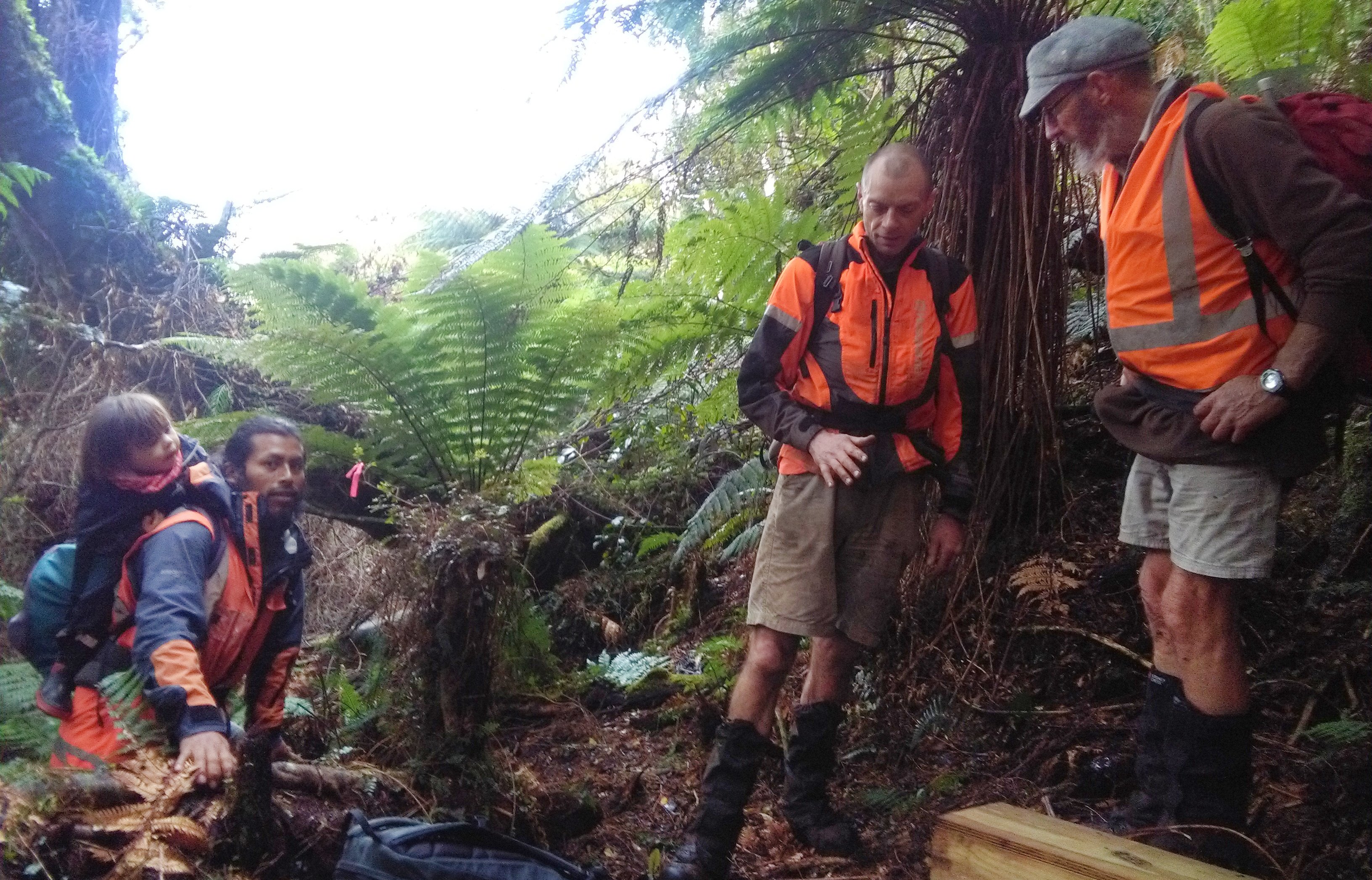 Marking a new trap line in the Tautuku Forest in the Catlins are Tautuku Restoration Project volunteers from left) Jorge Jimenez and son Niko (2), Gavin White. and Roy Johnstone. Photo: Supplied