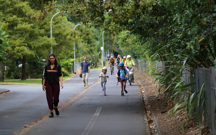 Newton School cancelled its walking bus this year because it was too dangerous. Photo: RNZ