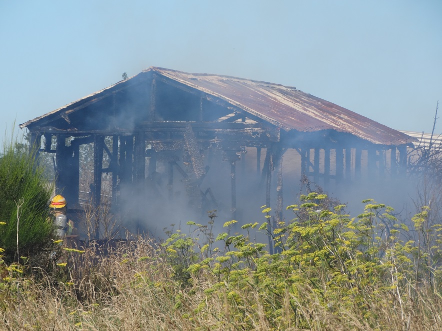 Firefighters work to put out a shed fire in Regina Lane in north Oamaru this afternoon. Photo:...