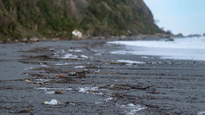 Debris from the landfill on a Westland beach. Photo: South Westland Coastal Cleanup 