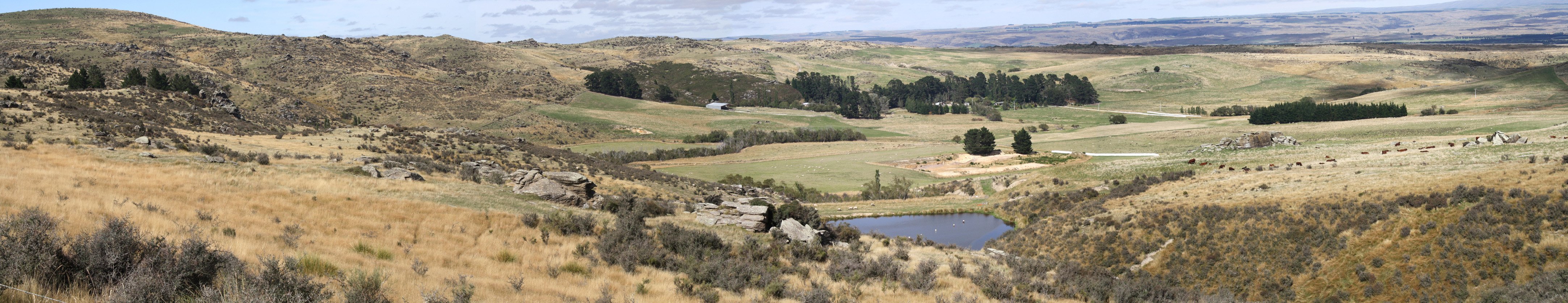 Australian-owned Plaman bought a diatomite mine at Foulden Hill near Middlemarch in 2015 for more...