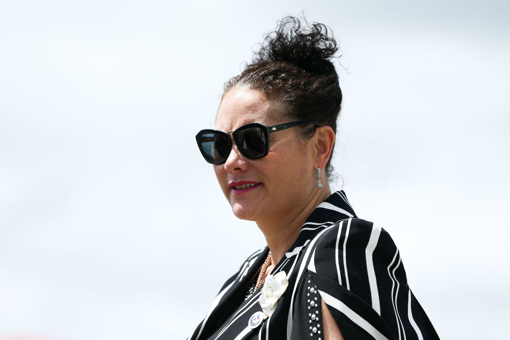 Committee chair Louisa Wall. Photo: Getty