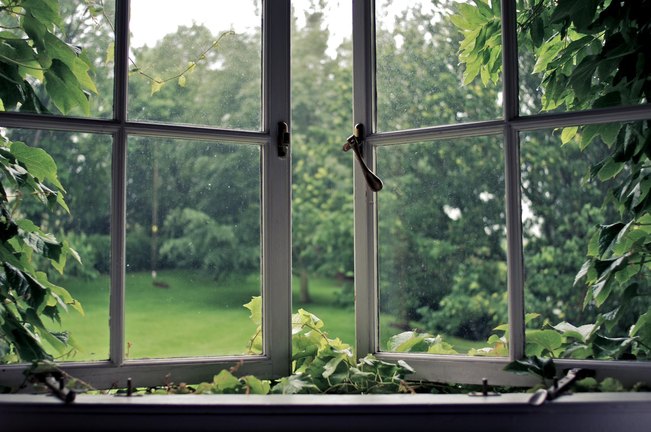 Window appear. Окно в природу. Сад в окне. Вид из окна на сад. Проветривание помещений.