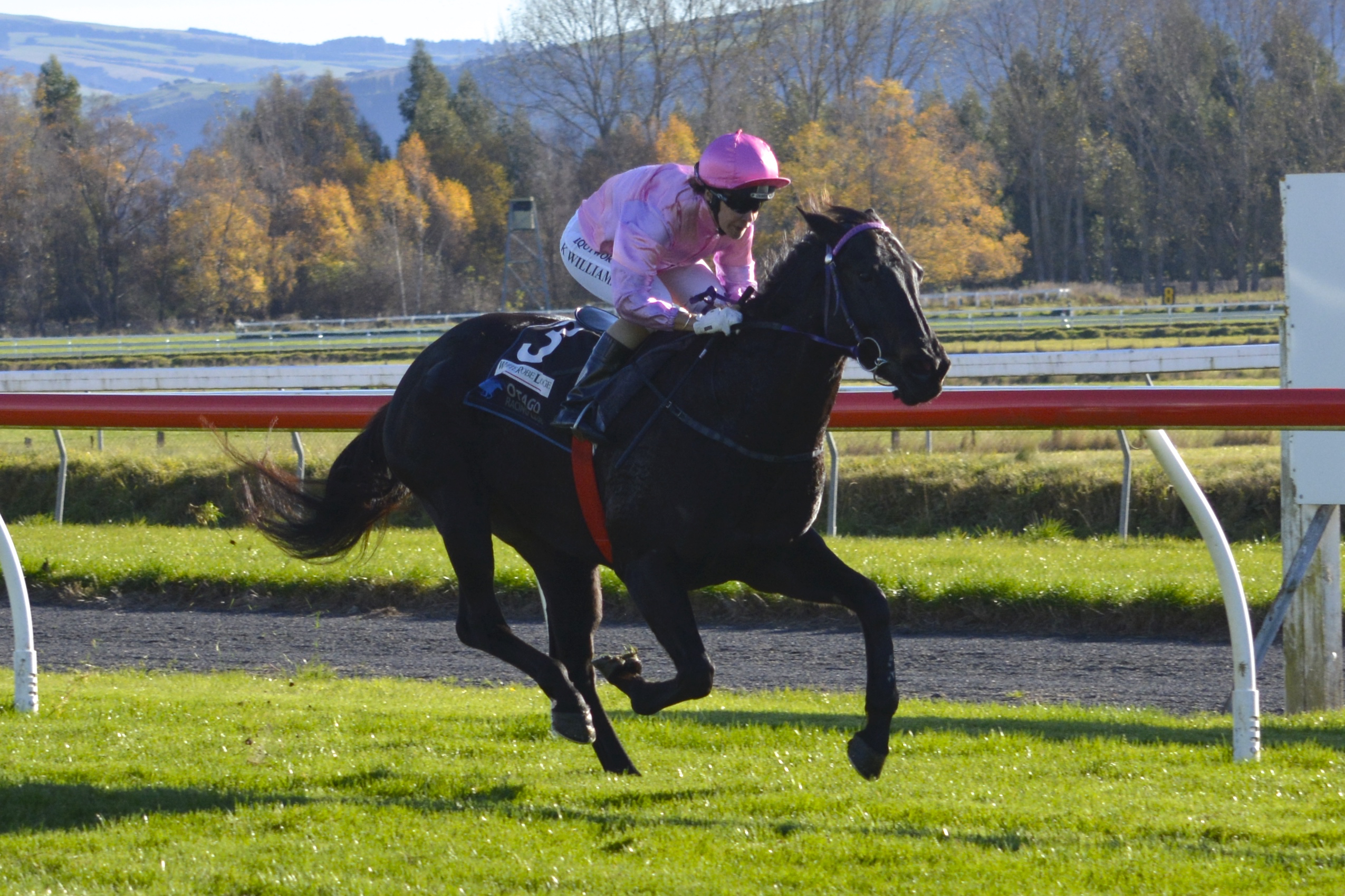 Jockey Kylie Williams wins her first race back from an injury layoff with Black Label at Wingauti...