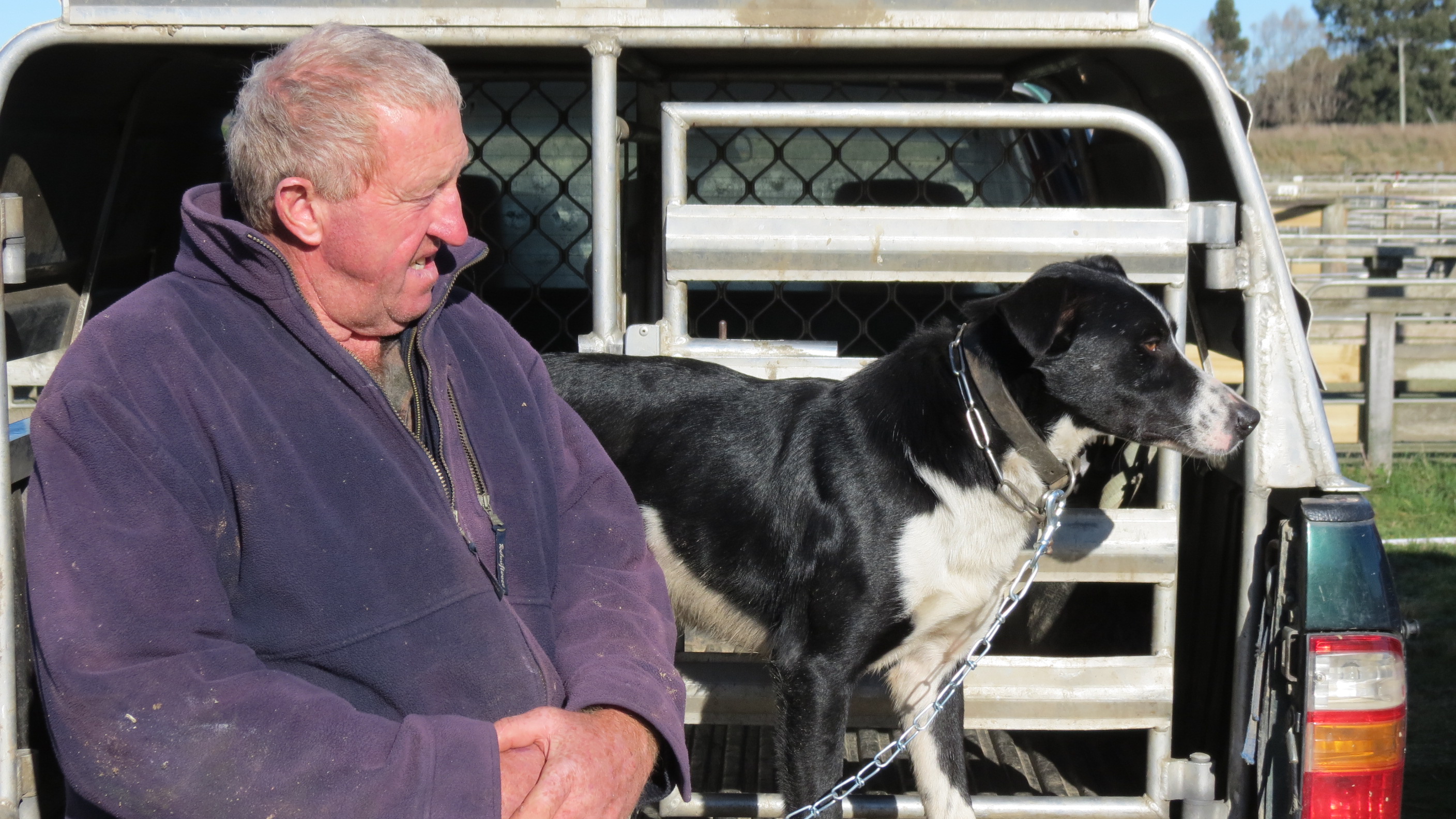 Teviot Valley farmer and dog breeder David Parker sold three-year-old Glen for $10,200 at the...