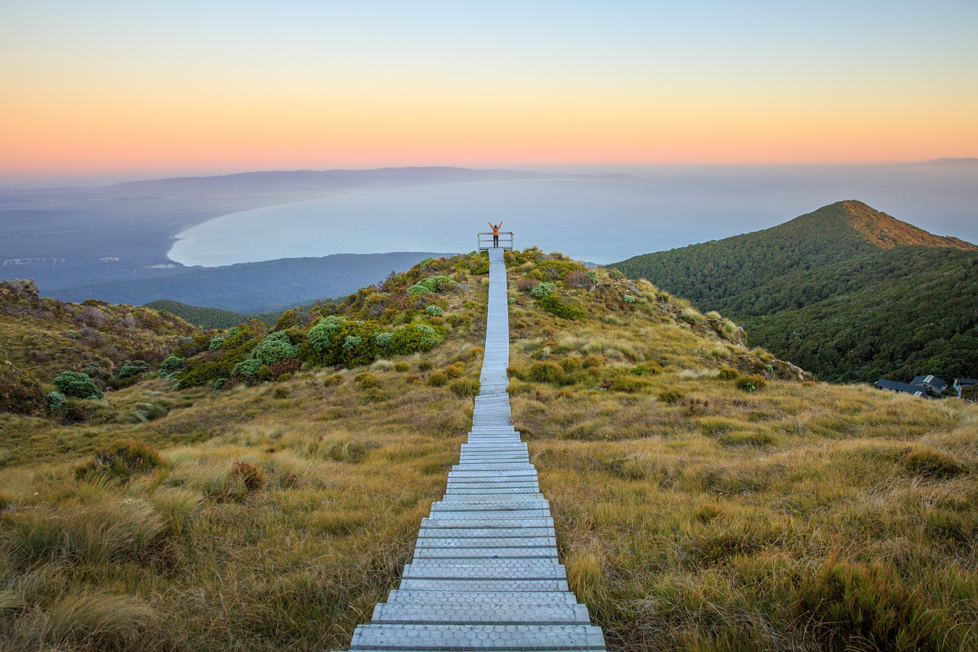 A lookout on the Hump Ridge Track. Photo: Department of Conservation