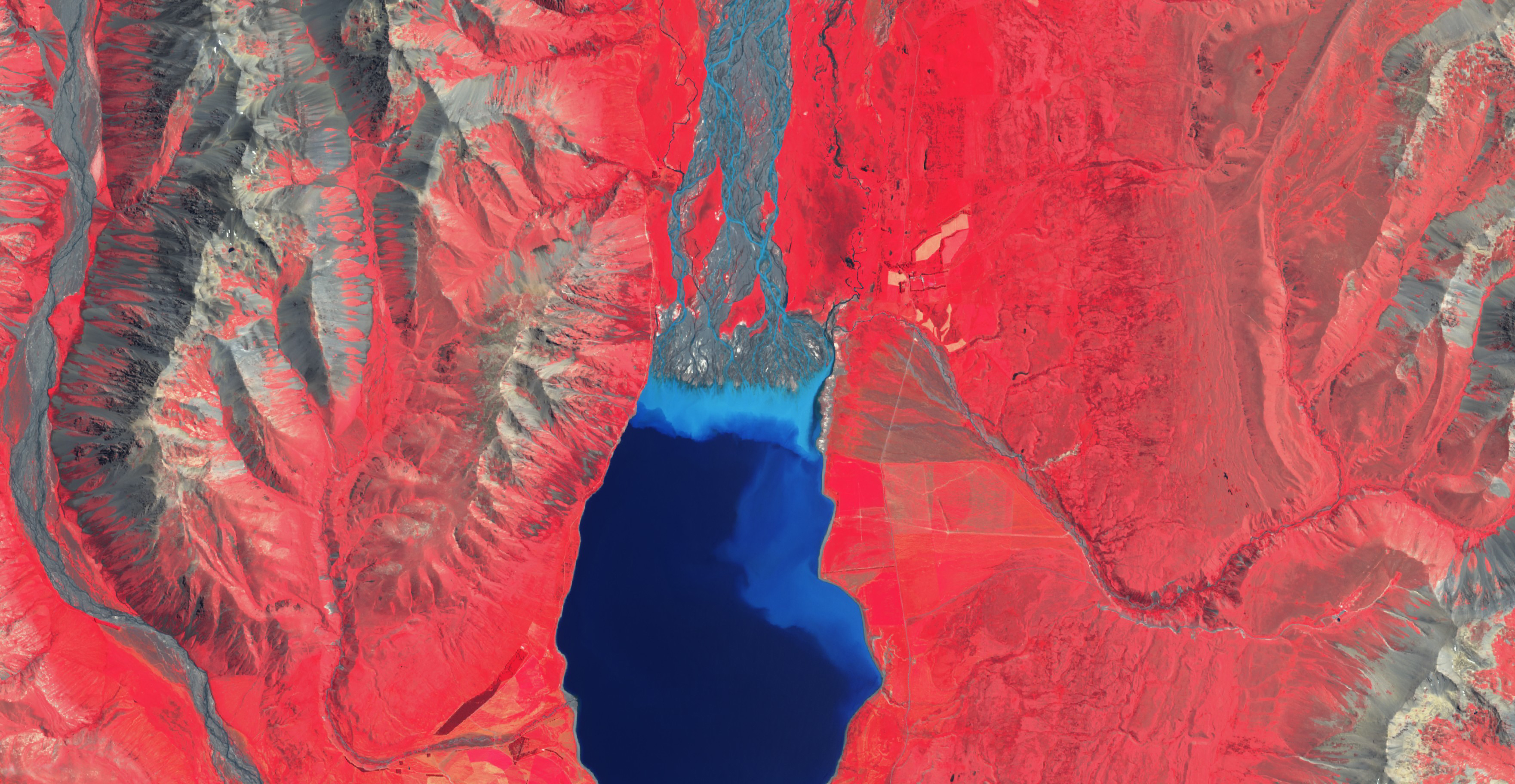 A satellite image sourced by Xerra shows Lake Tekapo. PHOTO: SUPPLIED