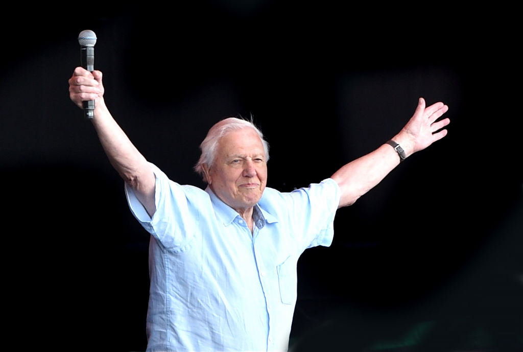 Image result for David Attenborough thanks Glastonbury for plastic bottle ban