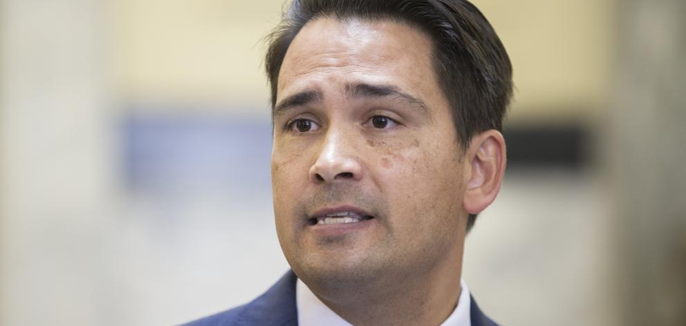 Simon Bridges. Photo: NZ Herald