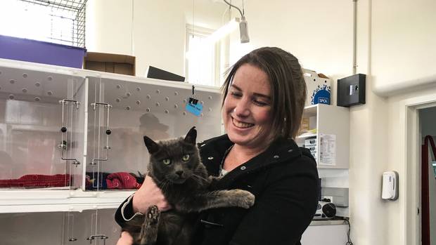Garry the 13-year-old cat has been reunited with owner Lisa Pederson in Masterton after missing...