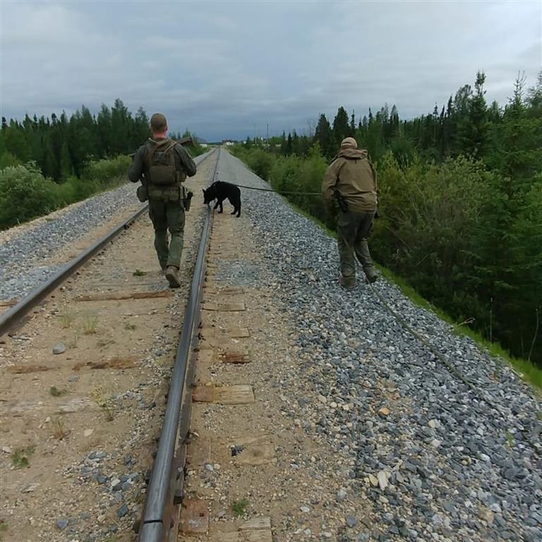 Royal Canadian Mounted Police search for the two fugitive teenagers near Gillam in northern...