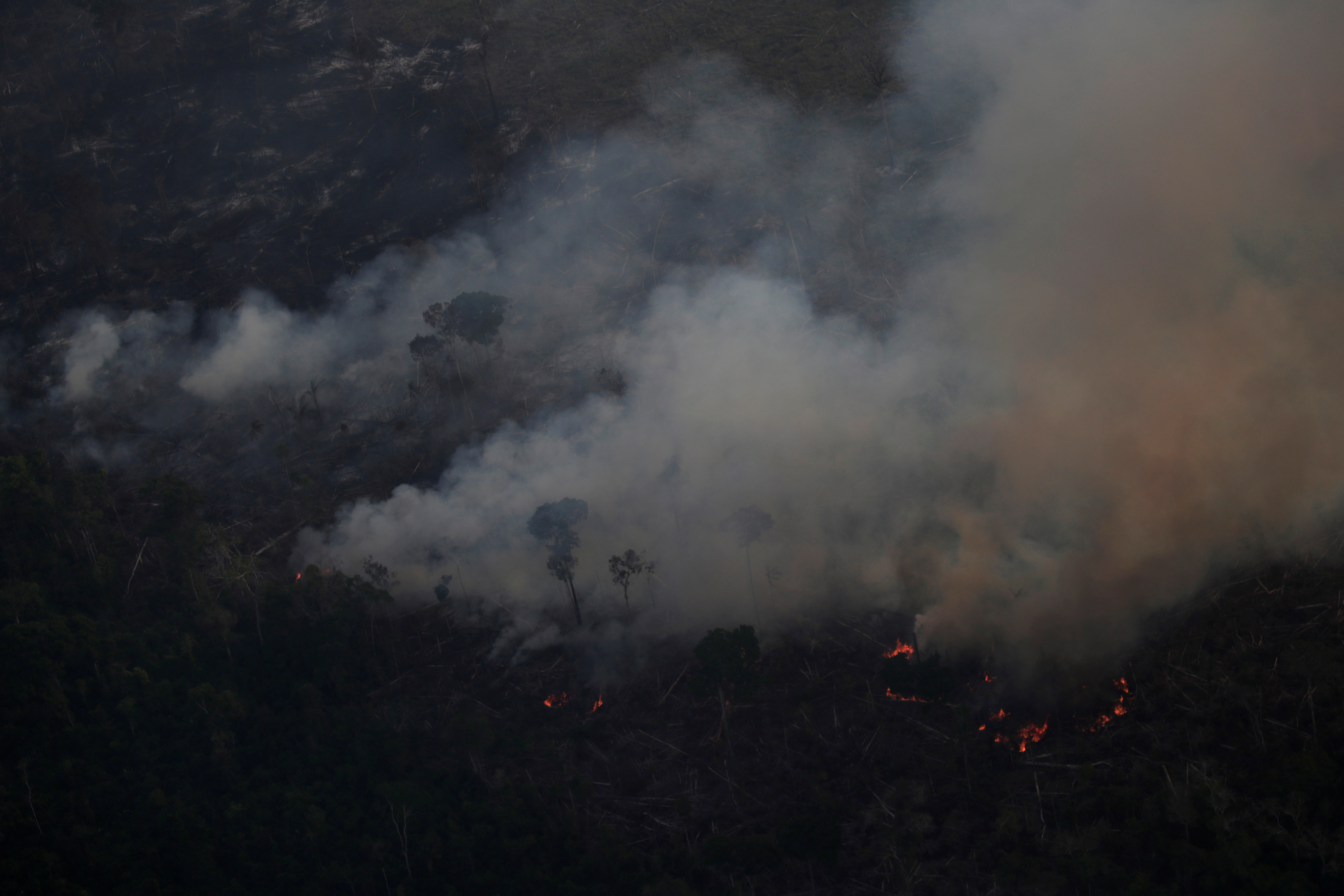 Fire on the amazon 93 го