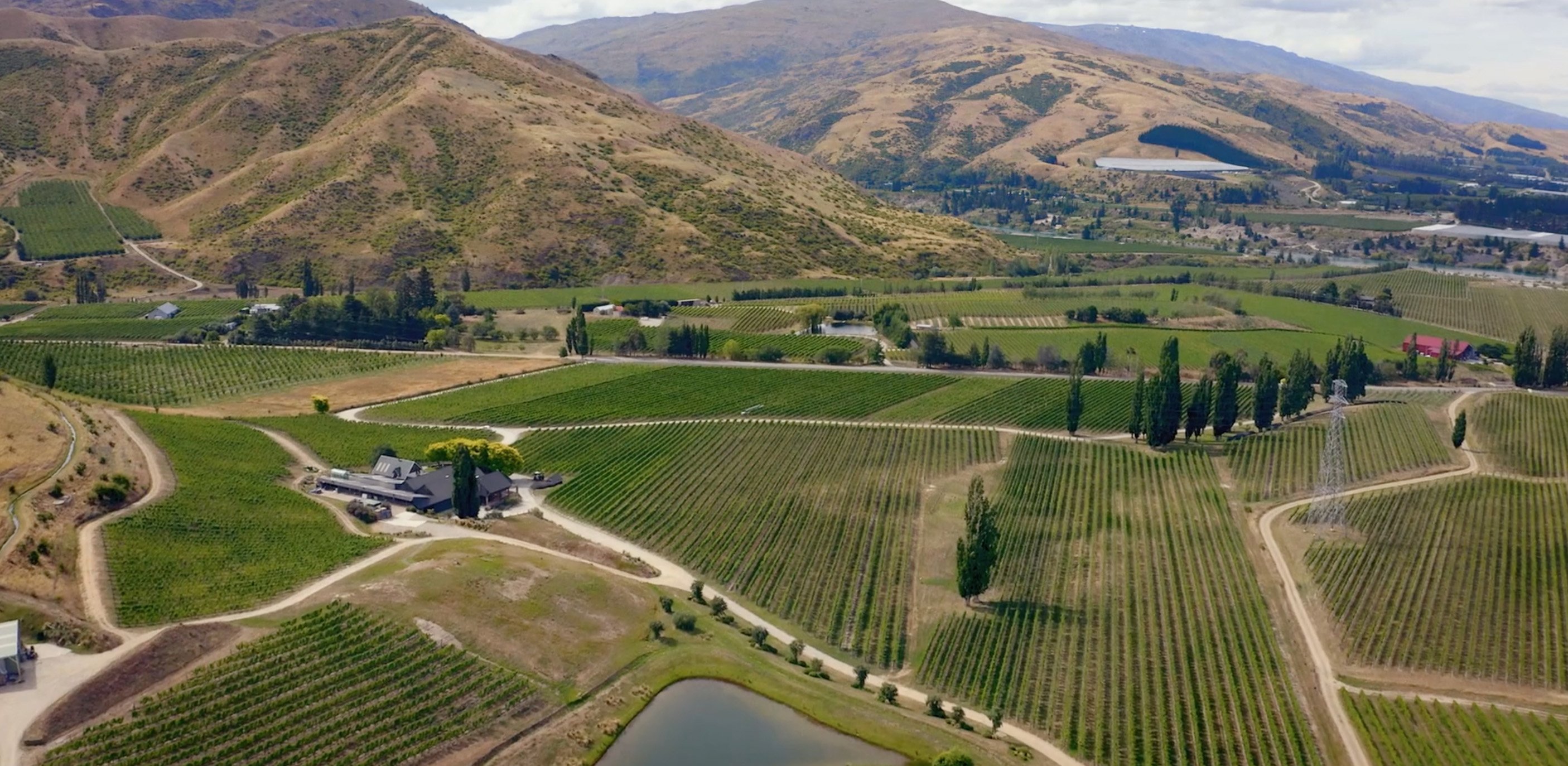 Central Otago’s wine industry has grown hugely since Alan Brady first planted vines.