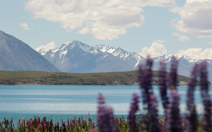 Tourists slow down to look at the crystal blue lake and snow-capped mountains around Tekapo - but...