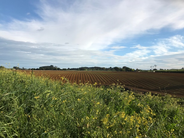 About 14 percent of New Zealand's land is currently considered "highly productive" for primary...