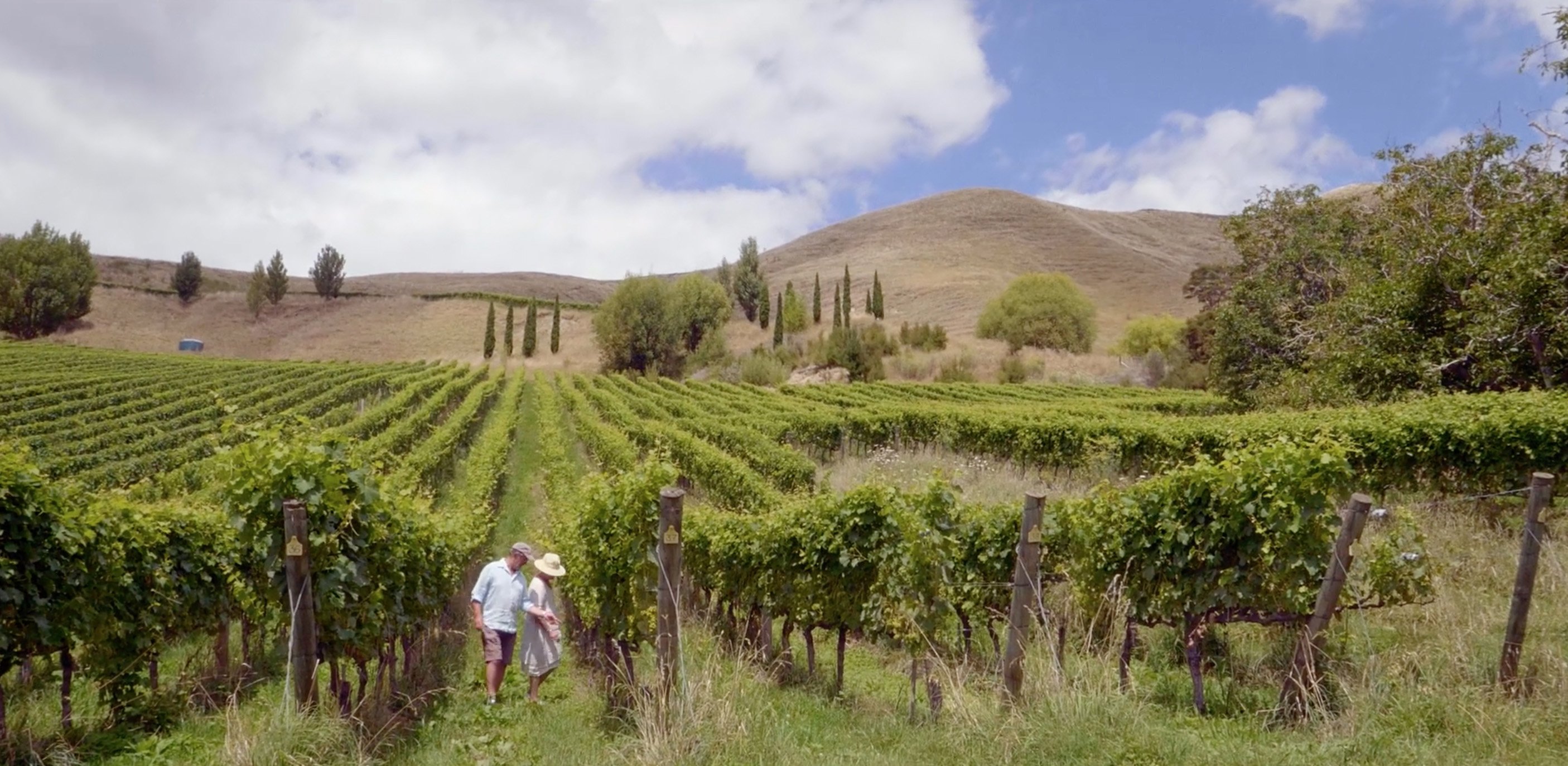 James and Annie Milton check the grapes on their biodynamic vineyard in Gisborne.