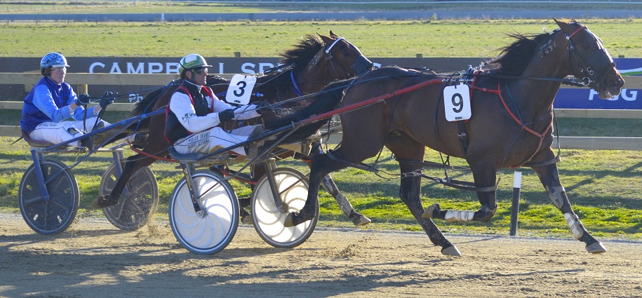 Storm Prince and driver Blair Orange beat Homebush Lad and Ben Hope to win the Kurow Cup recently...