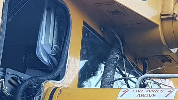 The fallen tree damaged the train for the early morning service. Photo: Supplied via NZ Herald