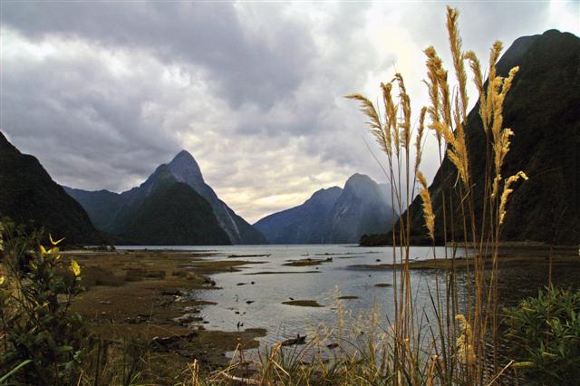 Fiordland's Milford Sound. Photo supplied.