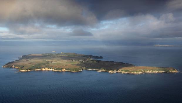 Motiti Island of the Bay of Plenty coast. Photo: NZME