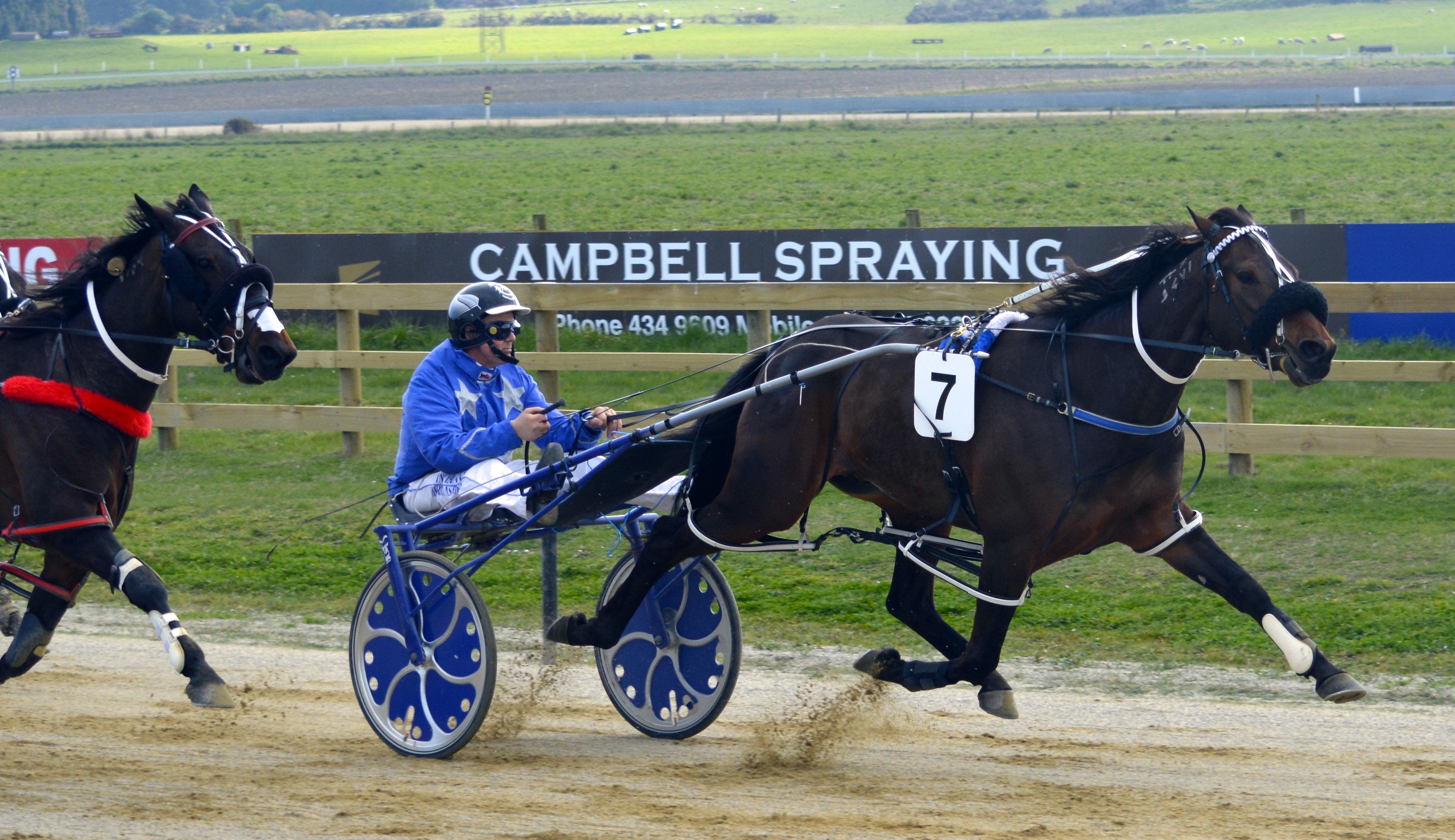 Spankem easily holds out Classie Brigade to win the Hannon Memorial at Oamaru yesterday for...