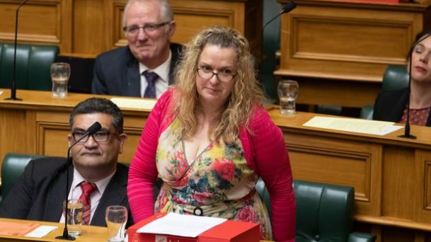 Labour list MP Jan Tinetti during Question Time. Photo: NZ Herald/File