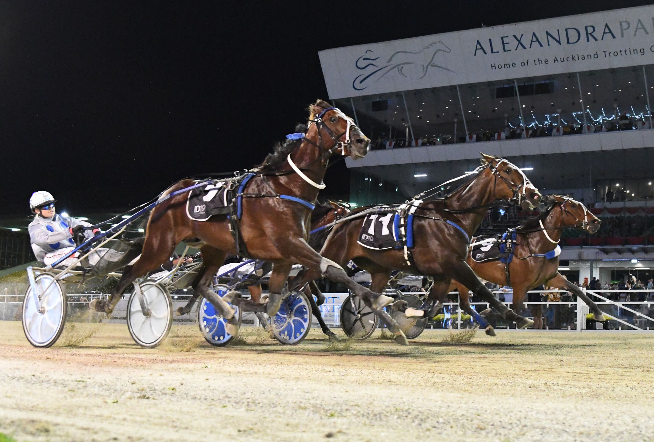 Runner-up Marcoola (inner), the winner Winterfell, and third placed Majestic Man (outer), fight...